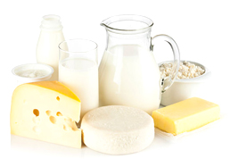 Süt Ürünleri